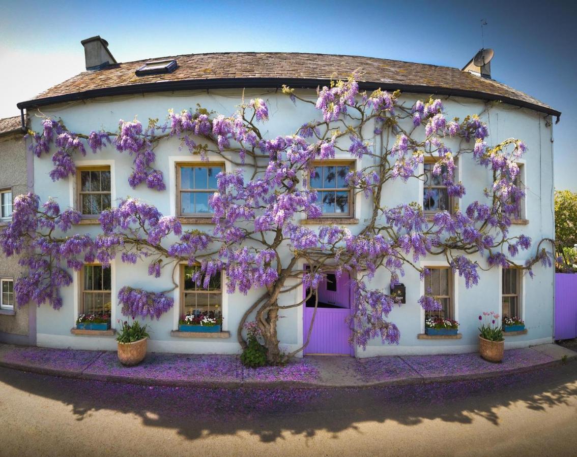 Deerpark Cottage, Inistioge, Kilkenny Exterior foto